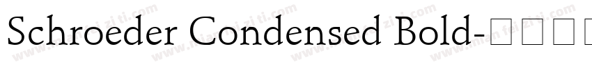 Schroeder Condensed Bold字体转换